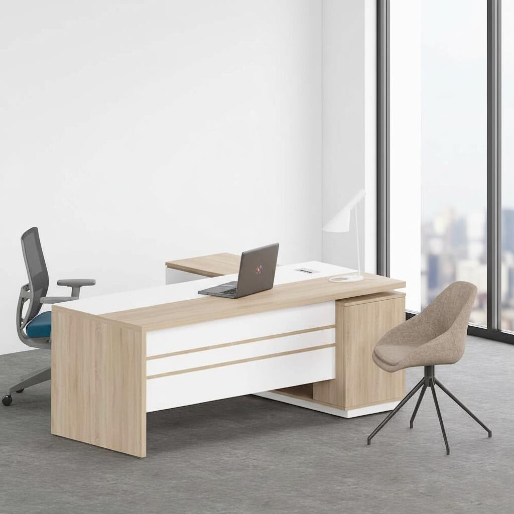 Modern Executive Office Desk